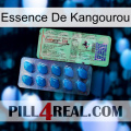Kangaroo Essence new02